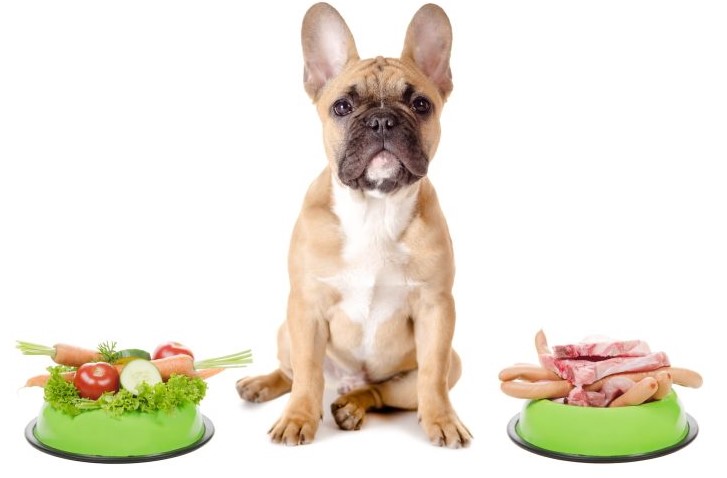Can Dogs Eat Kohlrabi: The Astonishing Truth